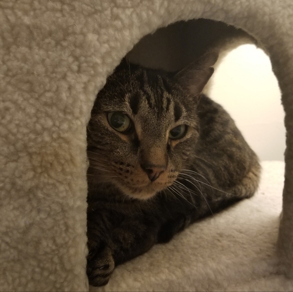 Pamcake Live Show Notification! 🥞🩷 - Picture 13 of 16